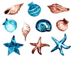 Watercolor collection of beach seashells and starfish png