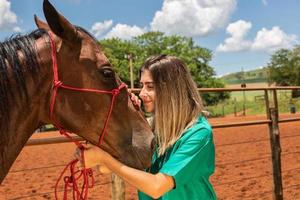 Veterinary woman and horse photo