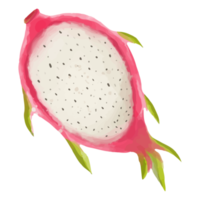Watercolor sliced dragon fruit, Hand painted fruit clipart png