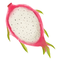 acuarela rodajas de fruta del dragón, clipart de frutas pintadas a mano png