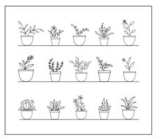 Flower Plants in pot vector