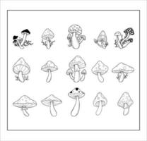 set of Mushroom Collection vector