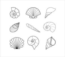 doodle Shell Collection vector