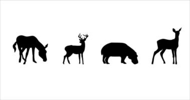 Animal Silhouette wild vector