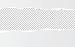 Paper torn. Paper Ripped with realistic shadow transparency. Vector object.