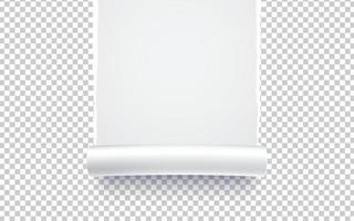 Paper torn. Paper Ripped with realistic shadow transparency. Vector object.