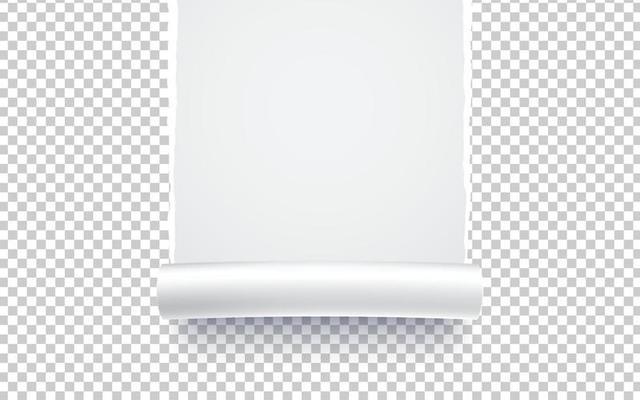 Paper torn. Paper Ripped with realistic shadow transparency. Vector object.