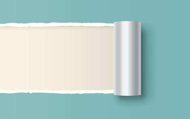 Paper torn. Paper Ripped with realistic shadow transparency. Vector object.