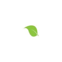 leaf icon vector illustration design