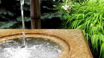 petite fontaine dans un jardin zen video