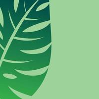 leaf green background vector