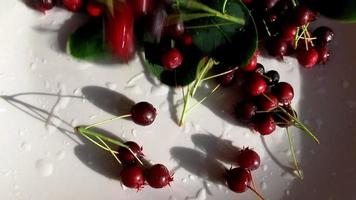 red berry closeup, wild fruits, healthy food video