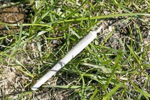 Cannabis joint from Amsterdam macro in grass background fifty megapixels high quality prints photo