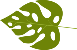 illustrazione di progettazione clipart foglie tropicali png