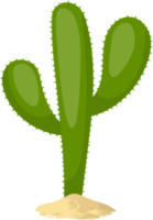 cactus clipart ontwerp illustratie png