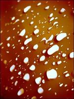 Water abstracts bubbles liquid seasson droplets close up photo