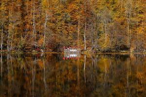 Buyuk Lake in Yedigoller National Park, Bolu, Turkey photo