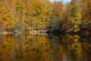 Buyuk Lake in Yedigoller National Park, Bolu, Turkey photo