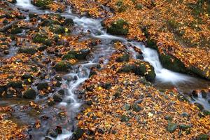 Waterfall in Yedigoller National Park, Bolu, Turkey photo