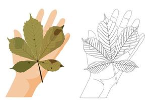 Yellow chestnut leaf on the palm. Children's coloring. Vector stock illustration isolated on white background.