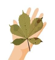 Yellow chestnut leaf on the palm. Vector stock illustration isolated on white background.