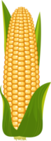 Corn clipart design illustration png