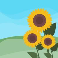 Illustrator vector of sunflower with mountain and blue sky background