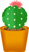 cactus and plant pots png