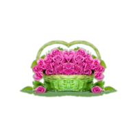 png flores colecciones con cesta png flor transparente imagen clipart