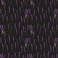 Seamless pattern lavender flowers pattern on black background.Floral vector pattern