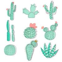 Set of vector illustrations with flat cactus bright colors.Flat illustration and contour repetition