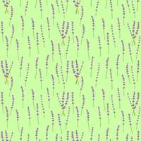Seamless pattern lavender flowers pattern on green background.Floral vector pattern