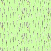 Seamless pattern lavender flowers pattern on green background.Floral vector pattern