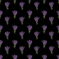 Seamless pattern lavender flowers pattern on black background.Floral vector pattern