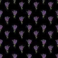 Seamless pattern lavender flowers pattern on black background.Floral vector pattern