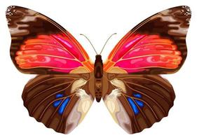 Pink exotic butterfly. Tropical insect. Neon colors. Stock vector illustration isolated on white background.