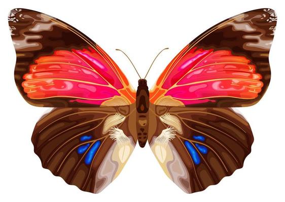 Pink exotic butterfly. Tropical insect. Neon colors. Stock vector illustration isolated on white background.