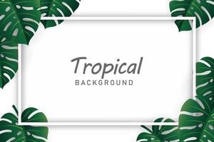 Set of tropical Leaves background illustration vector