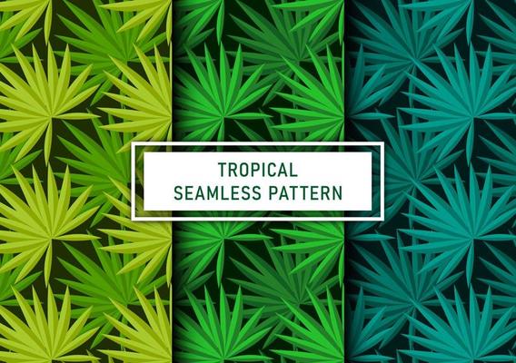 Set of seamless tropical leaves background Premium Vector