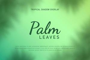Set of tropical leaves shadow overlay background illustration vector