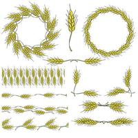 A set of wreaths, frames, dividers and corners from spikelets, cereal plants for a decorative design for a flyer, leaflet or banner vector