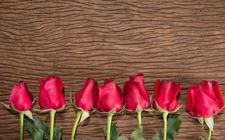 Red rose on wooden background photo
