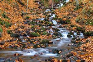 Waterfall in Yedigoller National Park, Bolu, Turkey photo