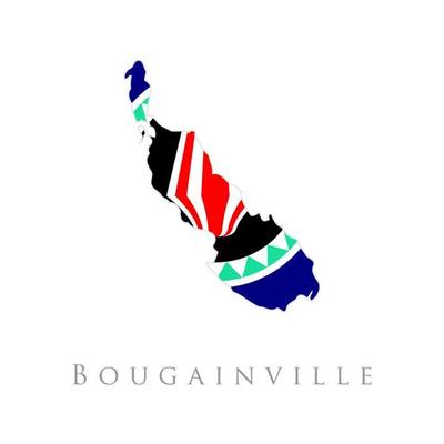 Bougainville flag map flat design vector illustration