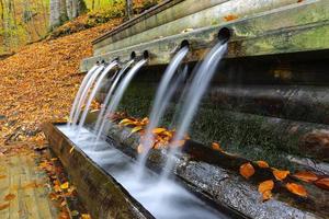 fuente en el parque nacional yedigoller, bolu, turquía foto