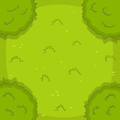 Green lawn. View from top. Grass and bushes