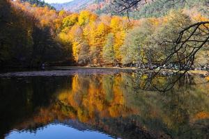 Derin Lake in Yedigoller National Park, Bolu, Turkey photo