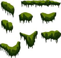 Set of branches with moss and green grass vector