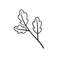 Branch of plant. Leaves in line style. Black and white natural illustration. Minimalism and simple flora. vector