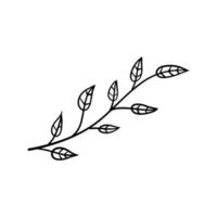 Branch of plant. Leaves in line style. Black and white natural illustration. Minimalism and simple flora. vector